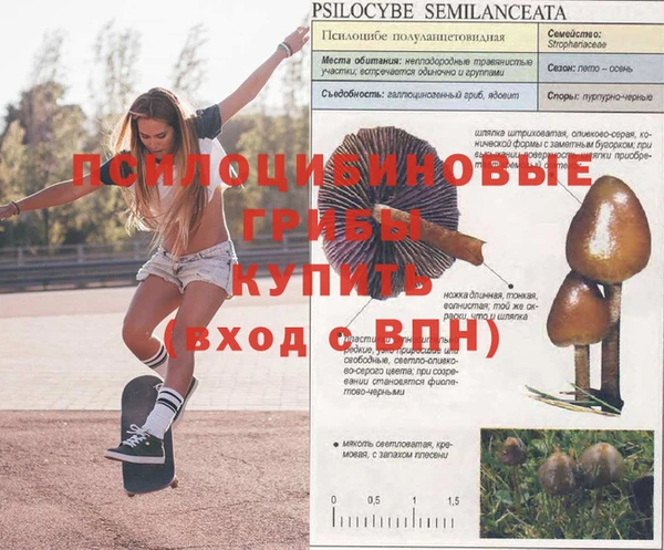 соль курить ск Сосновка